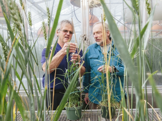 researchers performing crop experiments