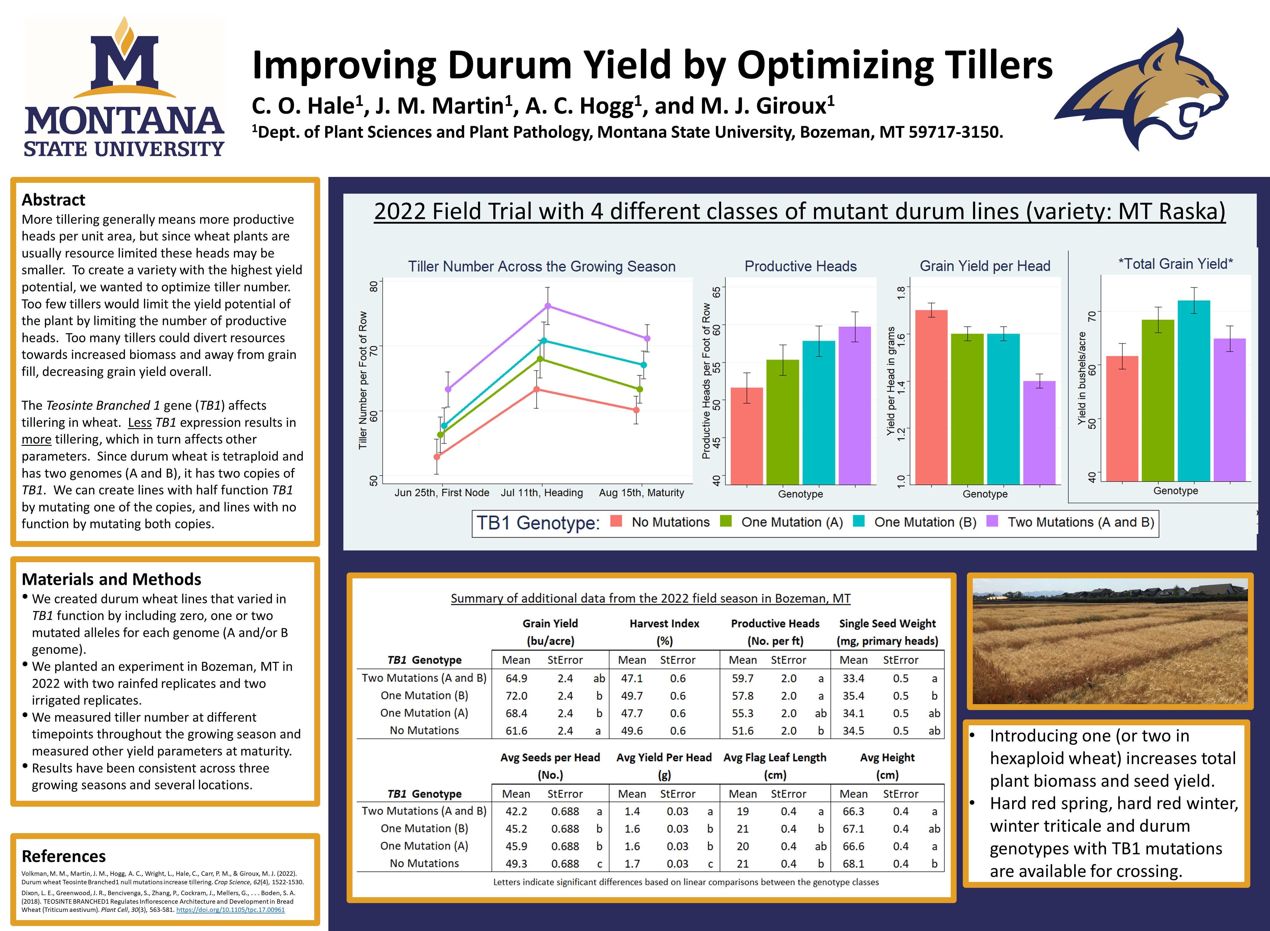 Poster: Improving Durum Yield by Optimizing Tillers