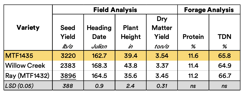 MTF1435 wheat stats