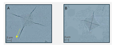 SEM Evidence of Crack Arrest in LLZO Electrolytes