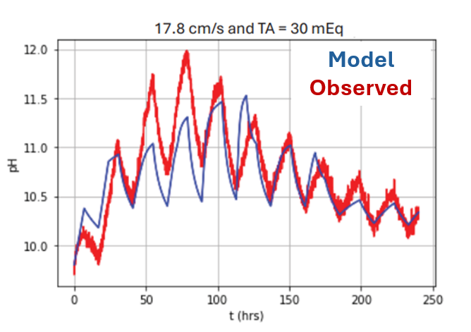 Graph of pH measurements over time as predicted by the model and compared to observed data