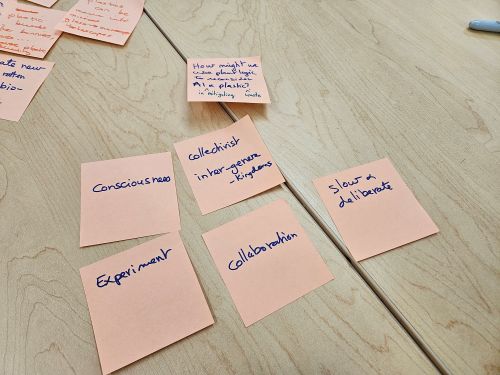 Notes Notes